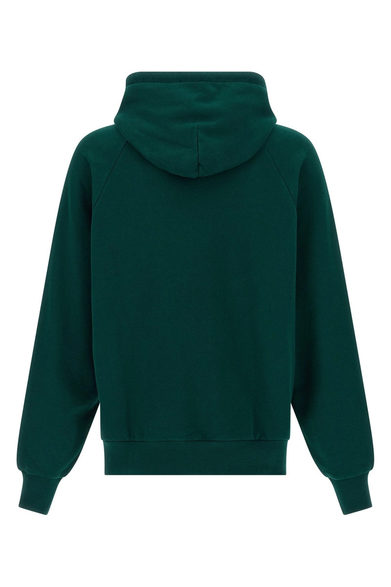 Carhartt 'Ray' hoodie outlook