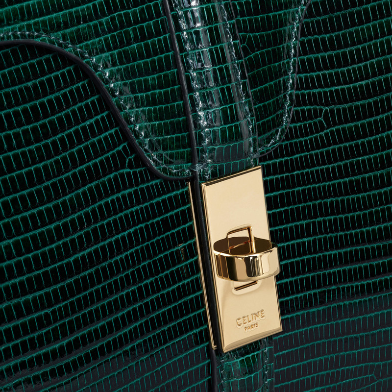 SMALL 16 BAG IN LIZARD 4