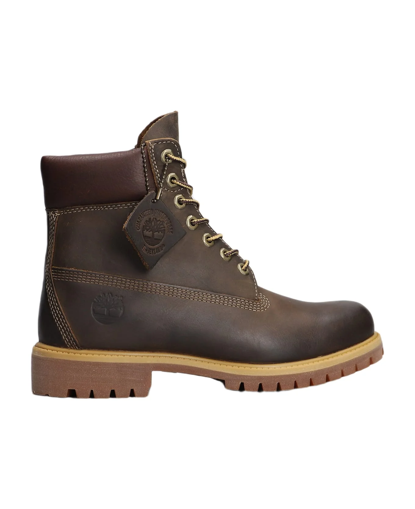 Prem 6 In Lace Combat Boots In Brown Leather - 1