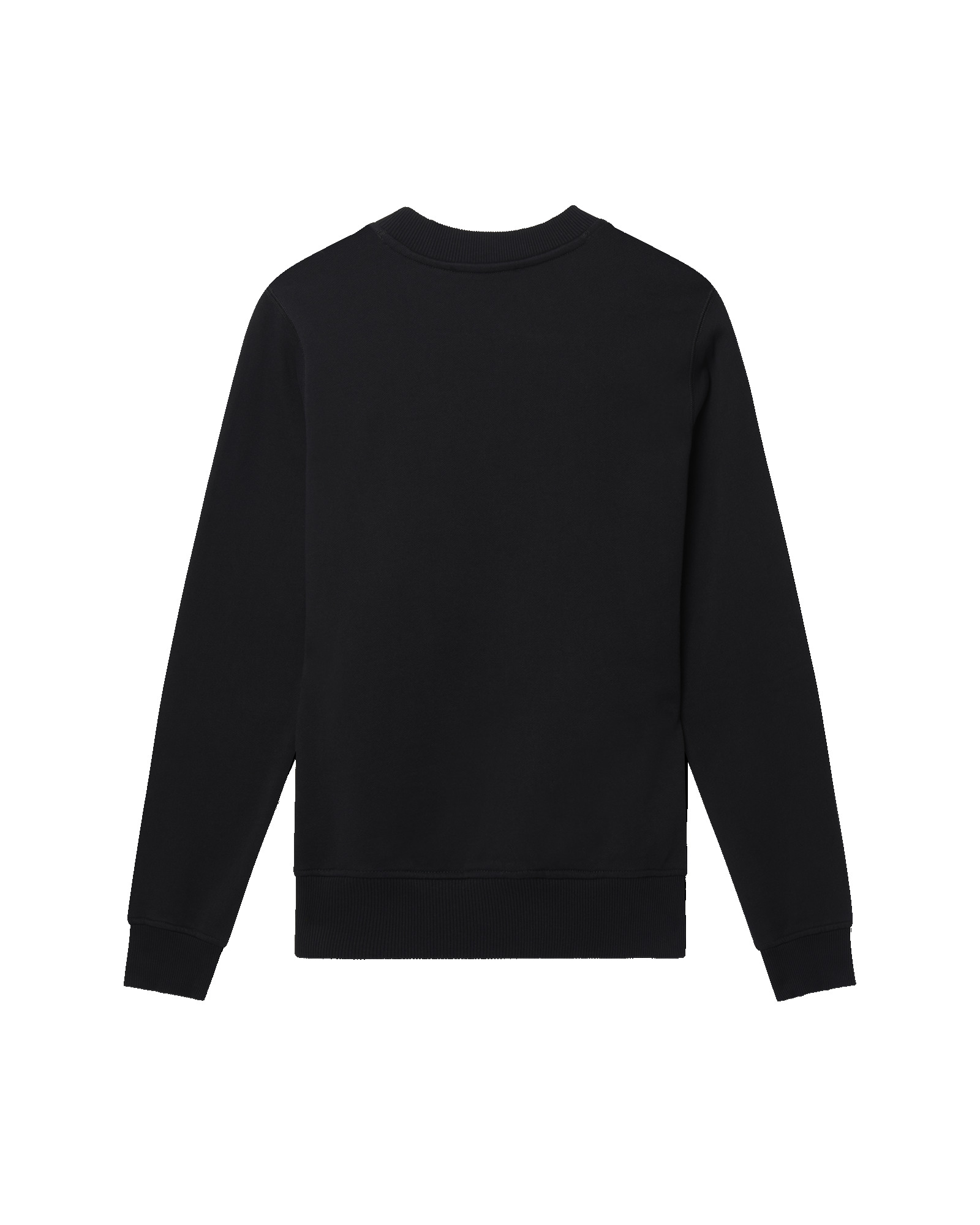Cactus et Orange Sweatshirt - 2