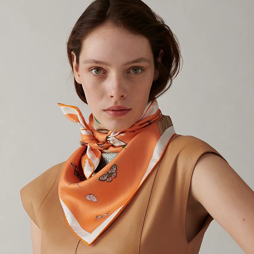 Hermes Story scarf 90 - 2