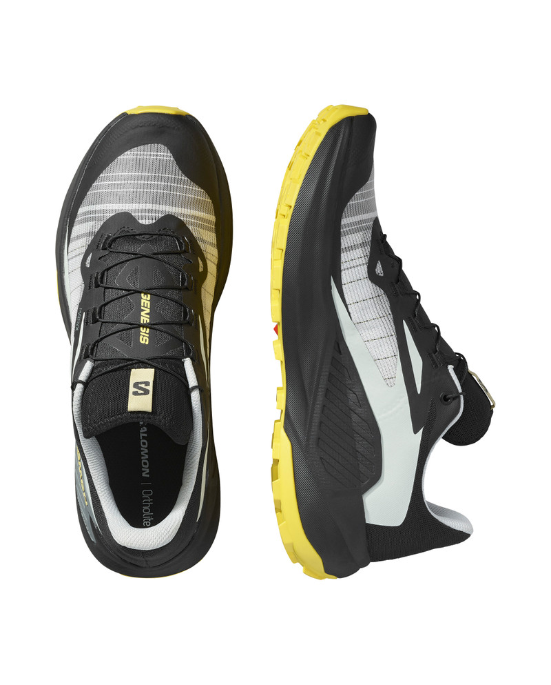 SALOMON GENESIS outlook