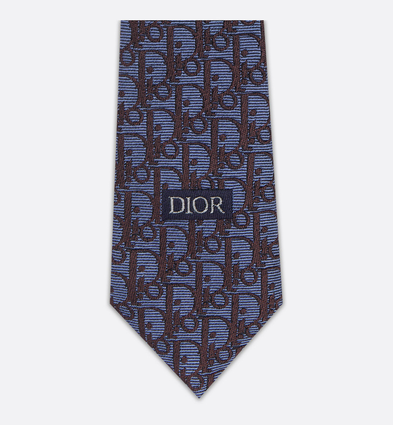 Striped Dior Oblique Tie 4