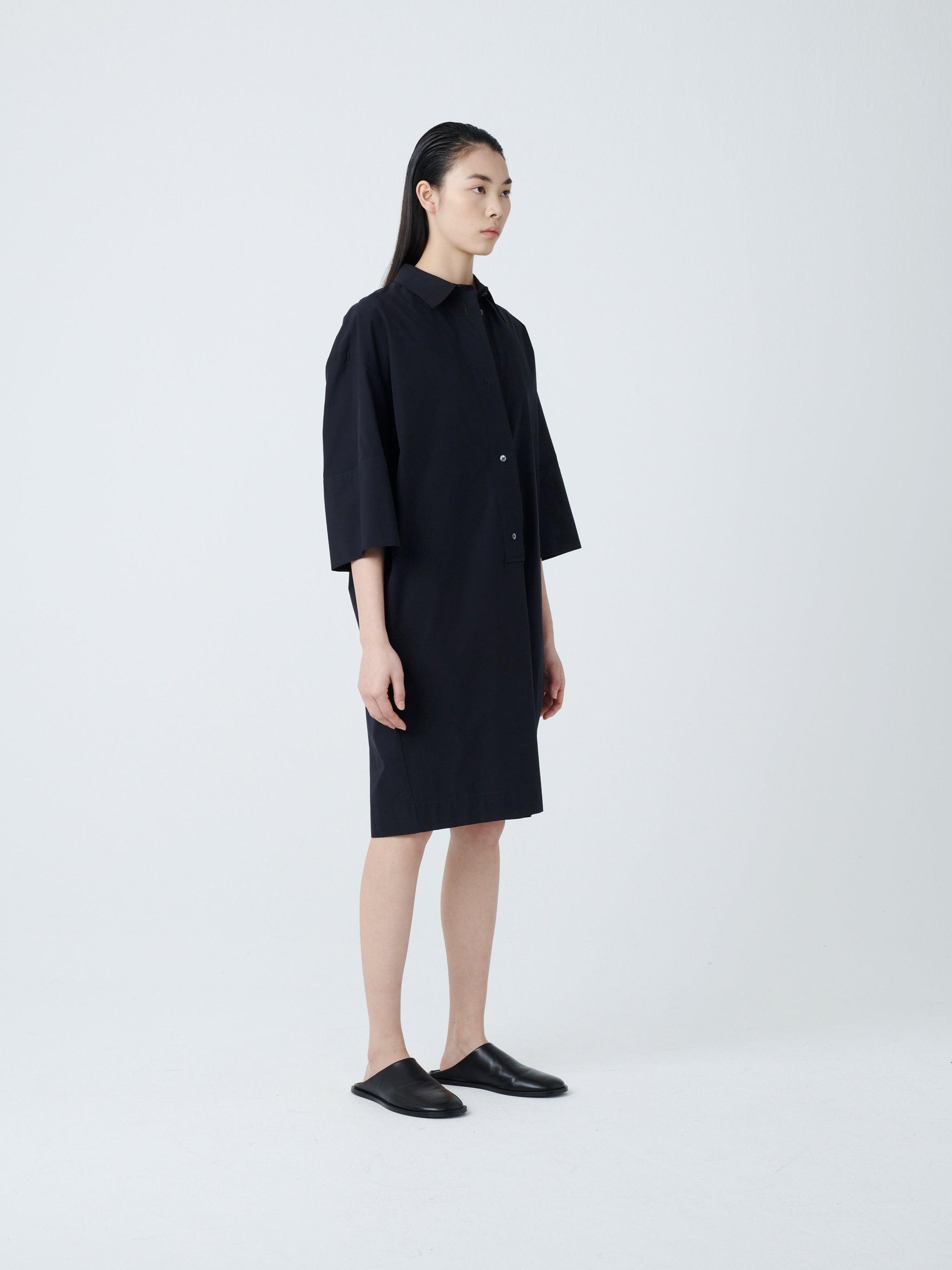 Albion Dress - 2