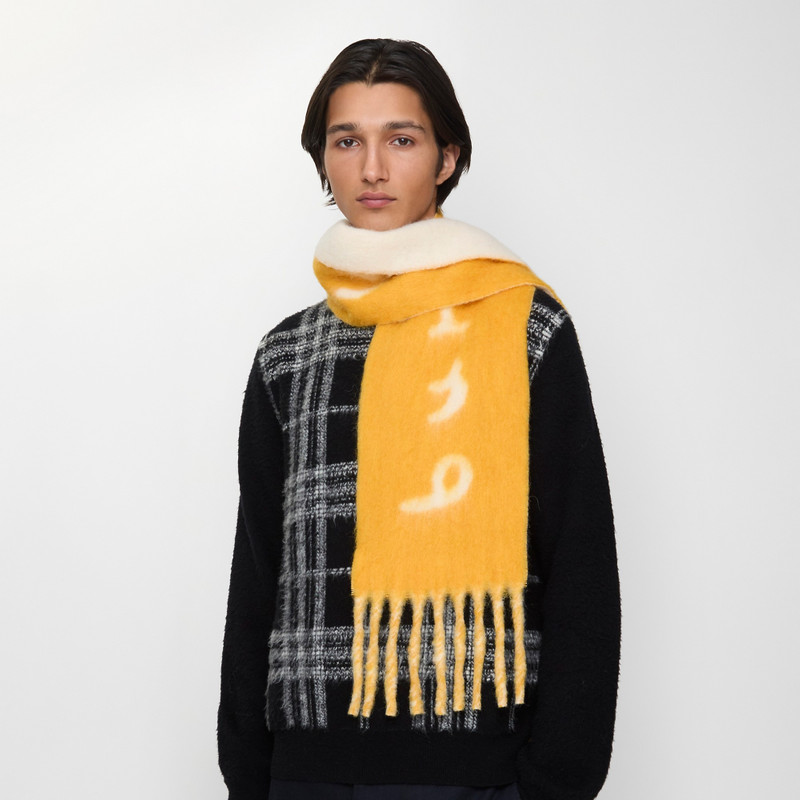 Burberry Reversible Logo Alpaca Wool Blend Scarf outlook