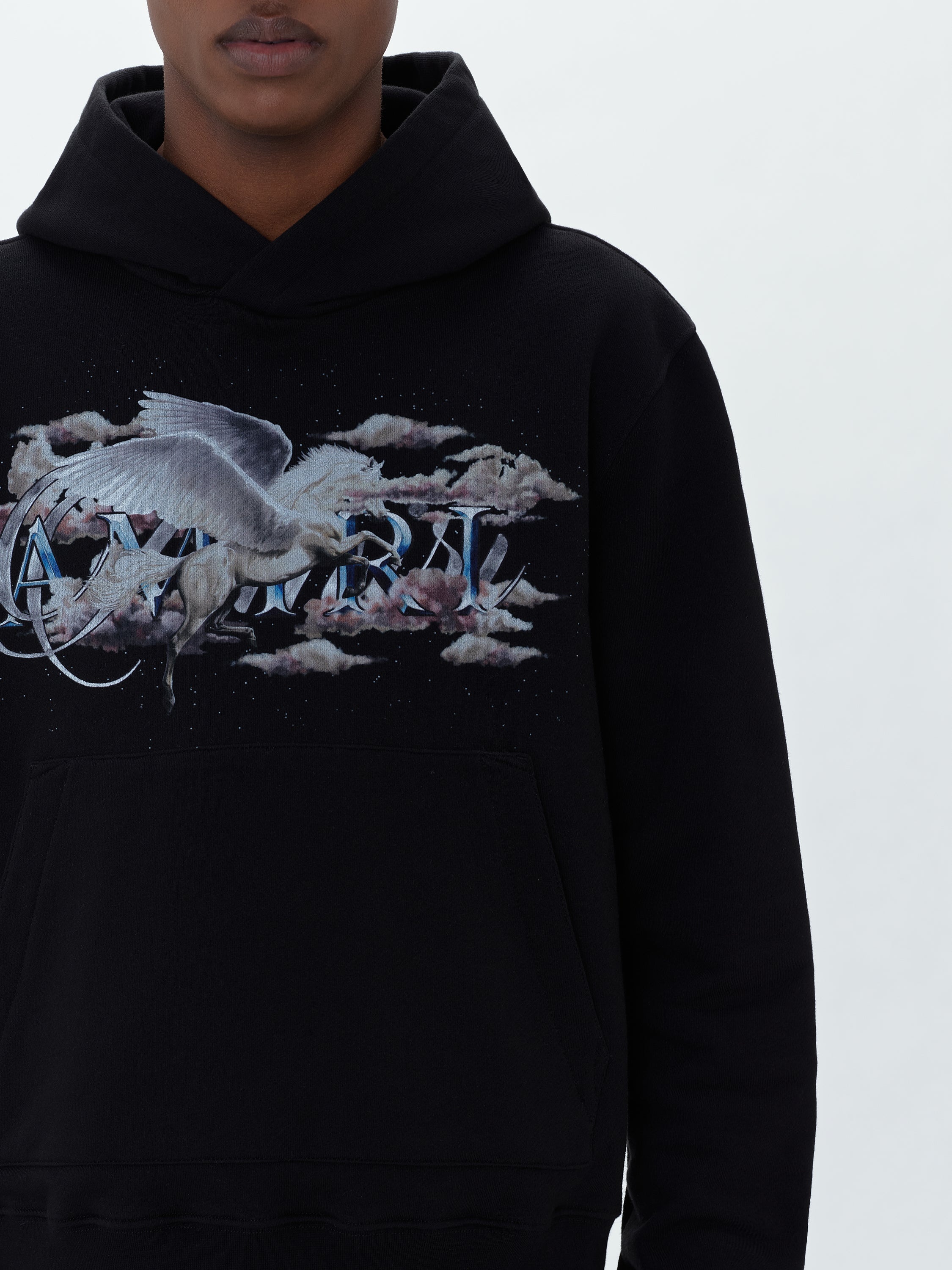 PEGASUS SCRIPT HOODIE - 4