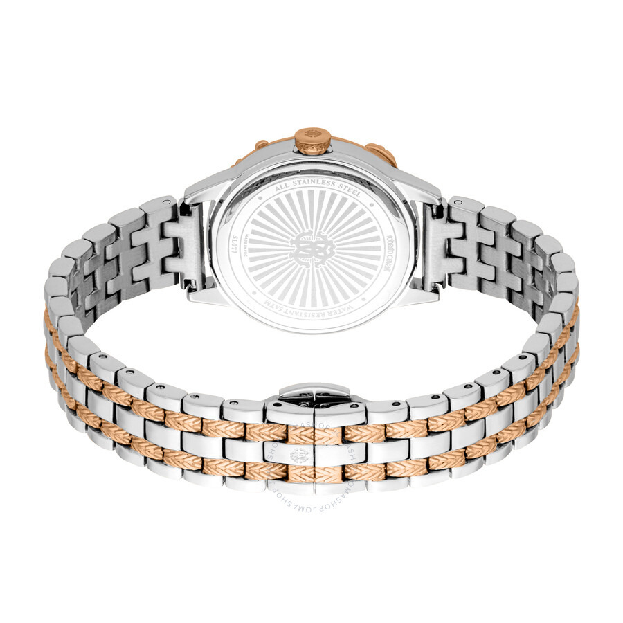 Roberto Cavalli Core Silver-tone Dial Ladies Watch RC5L077M0095 - 2