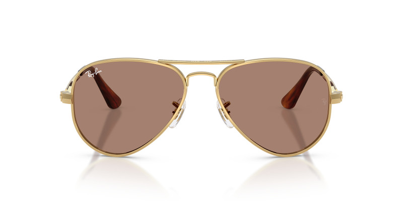 AVIATOR MAX HOLIDAY LIMITED 4