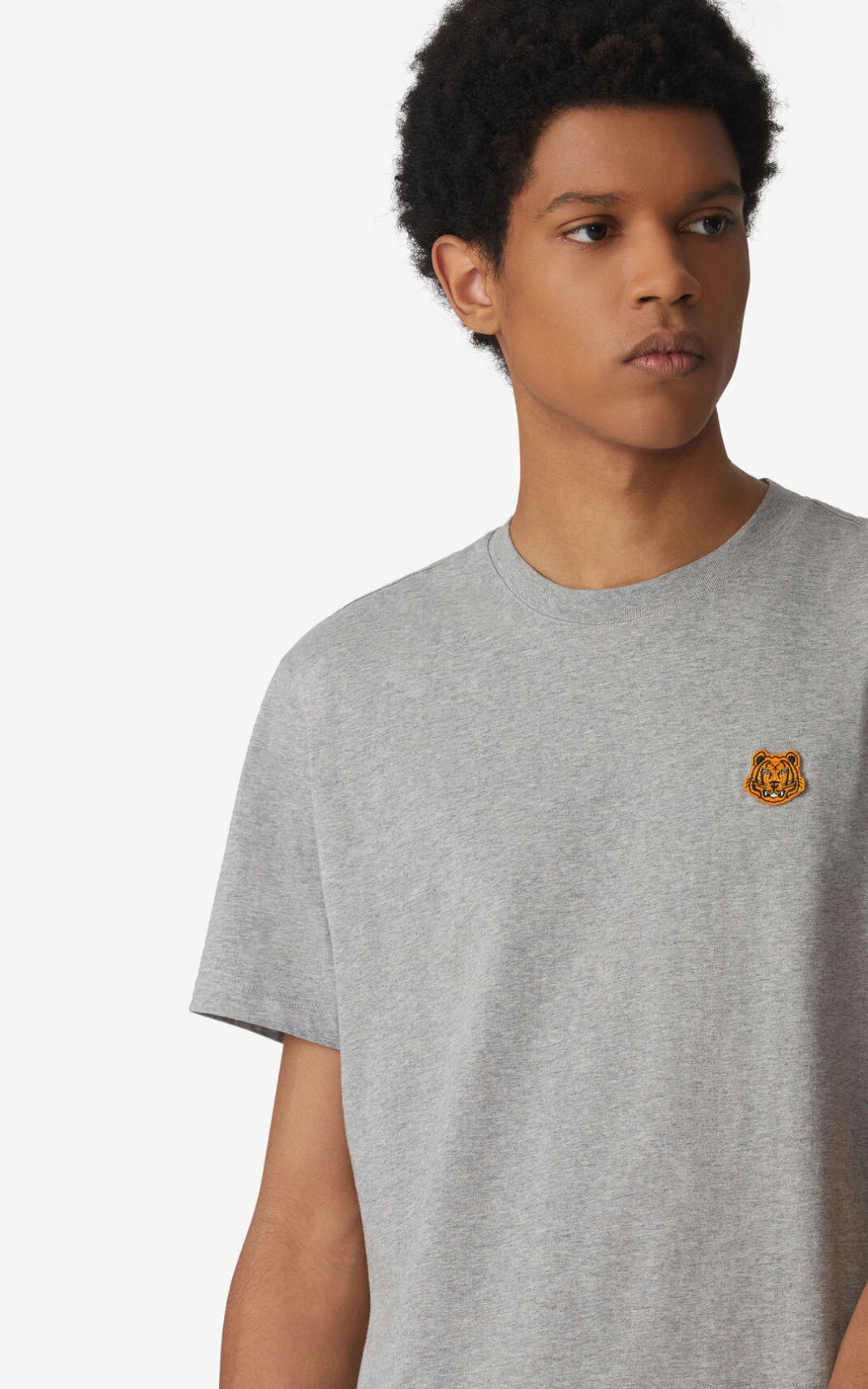 Tiger Crest t-shirt - 2