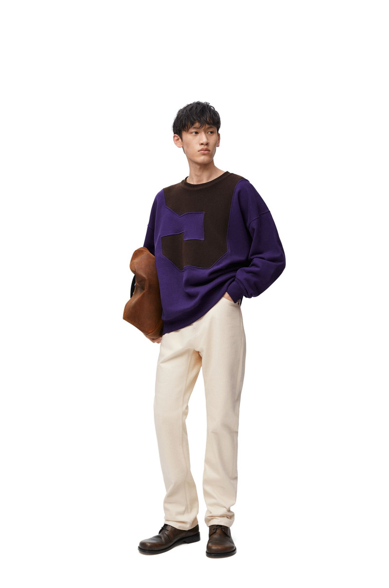 Loewe Sweatshirt in cotton outlook