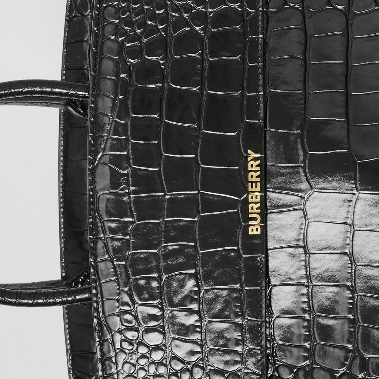 Embossed Leather Large Catherine Bag - 2
