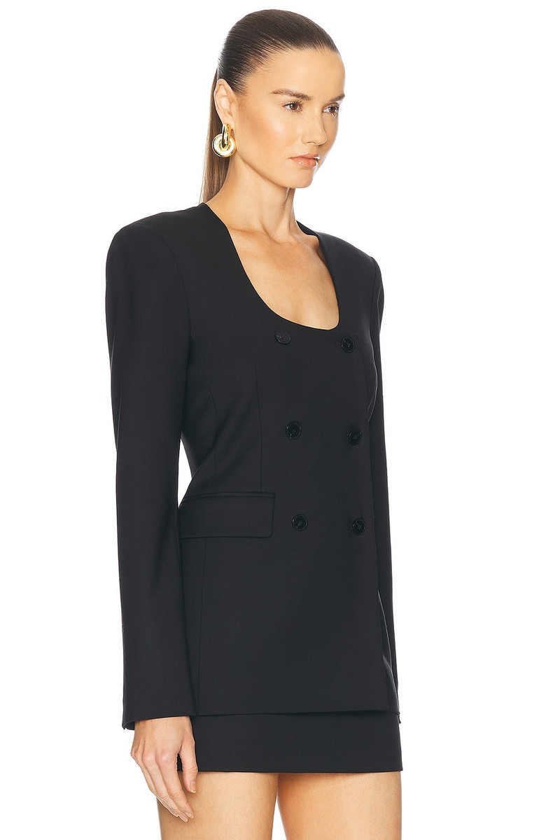 Anita Blazer 2