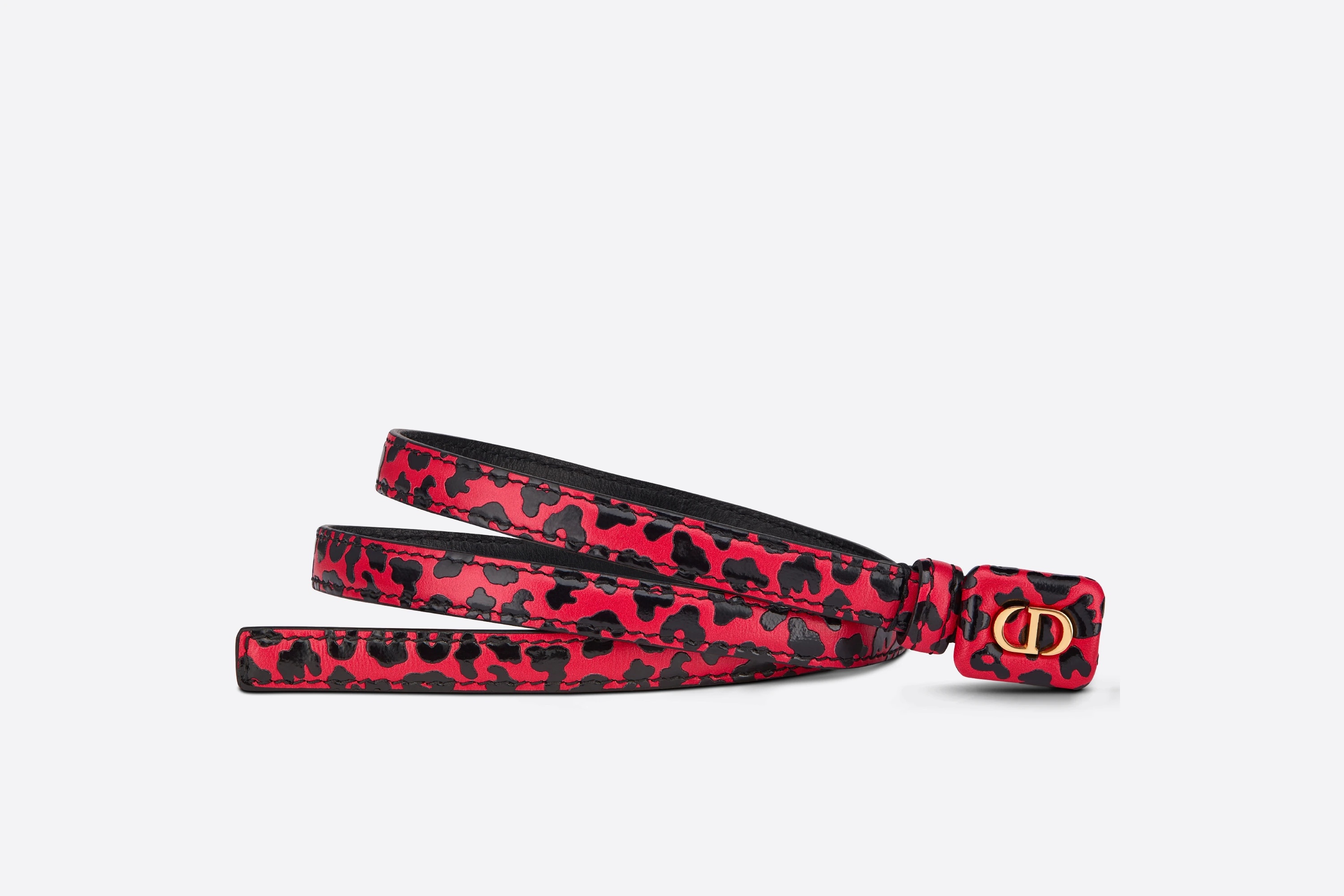 Dior Bobby Belt - 3