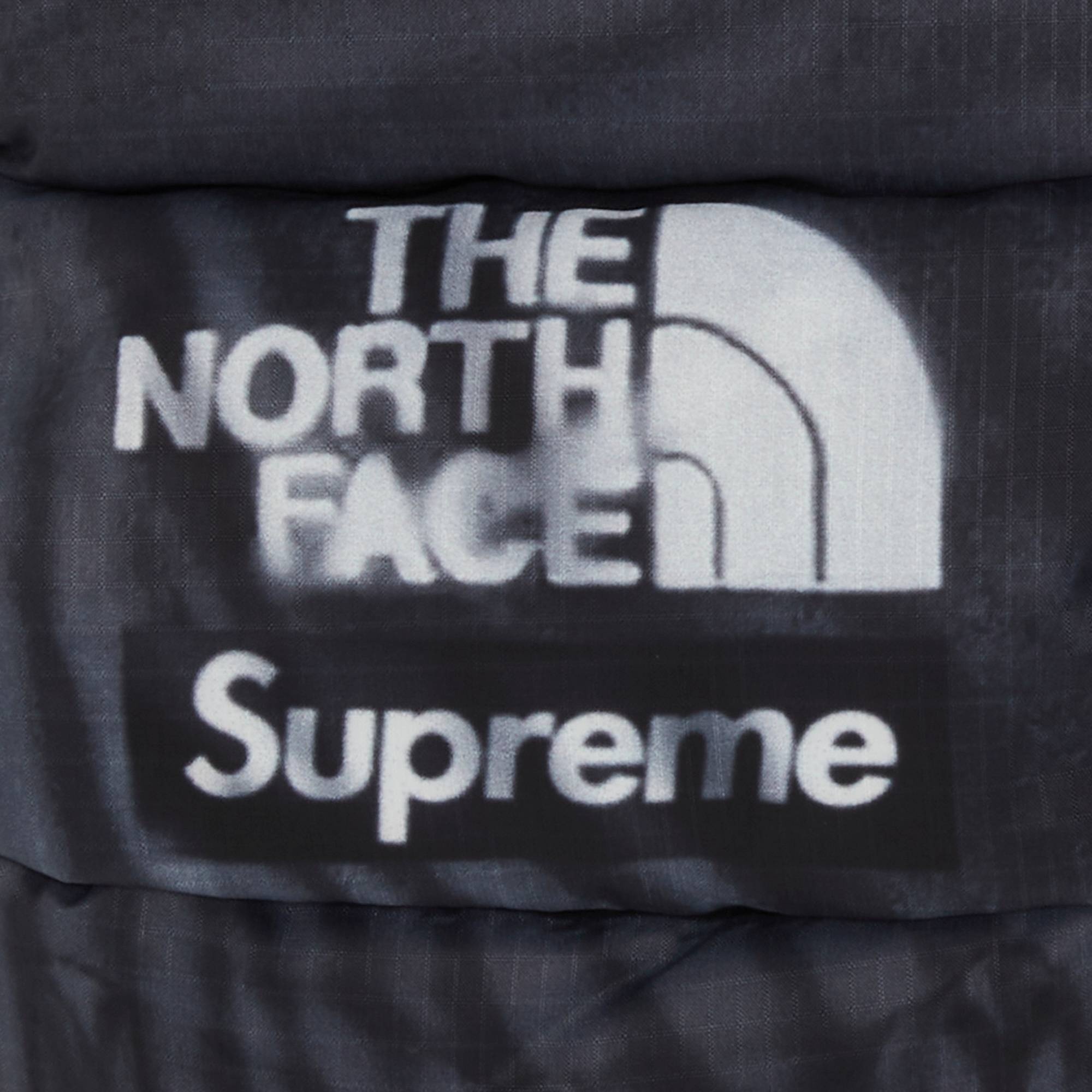 Supreme x The North Face Printed Montana Mitt 'Black' - 3