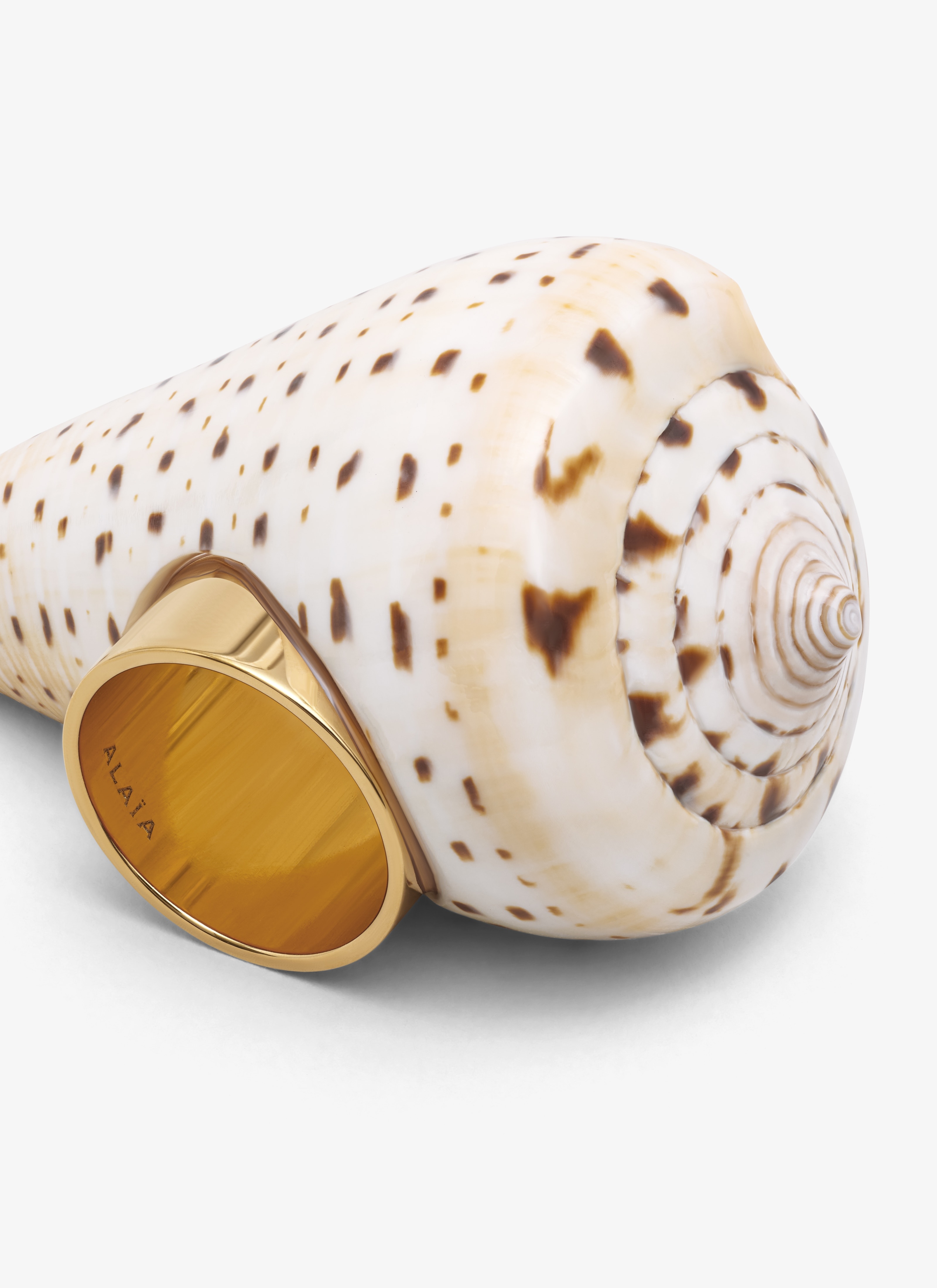LONG SHELL RING - 4