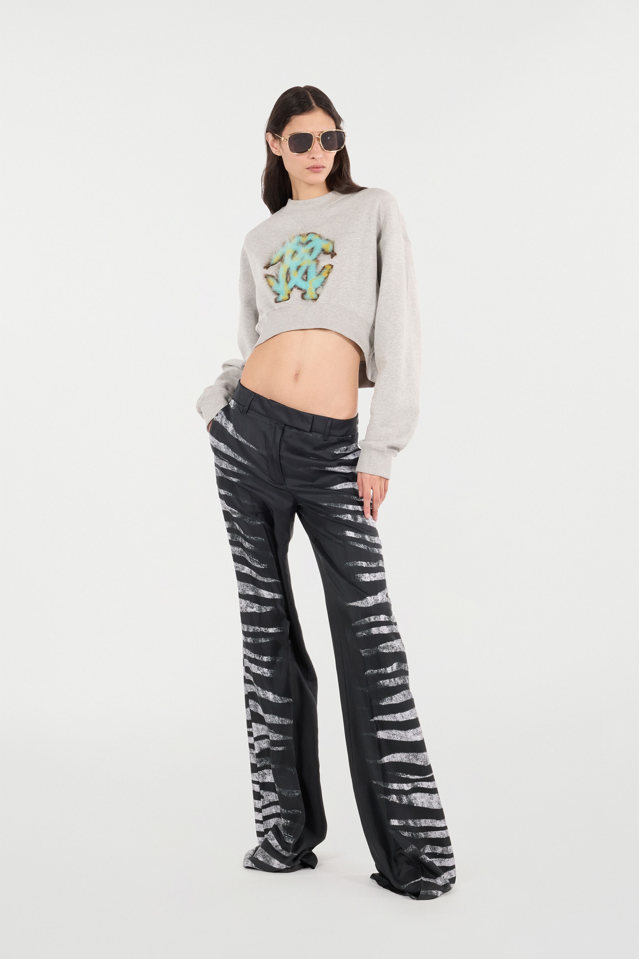 Pants With Side Zebra Print - 2