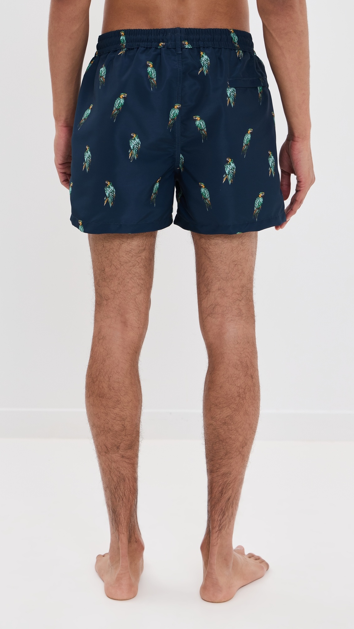 Parrots Swim Shorts 3.5" - 2