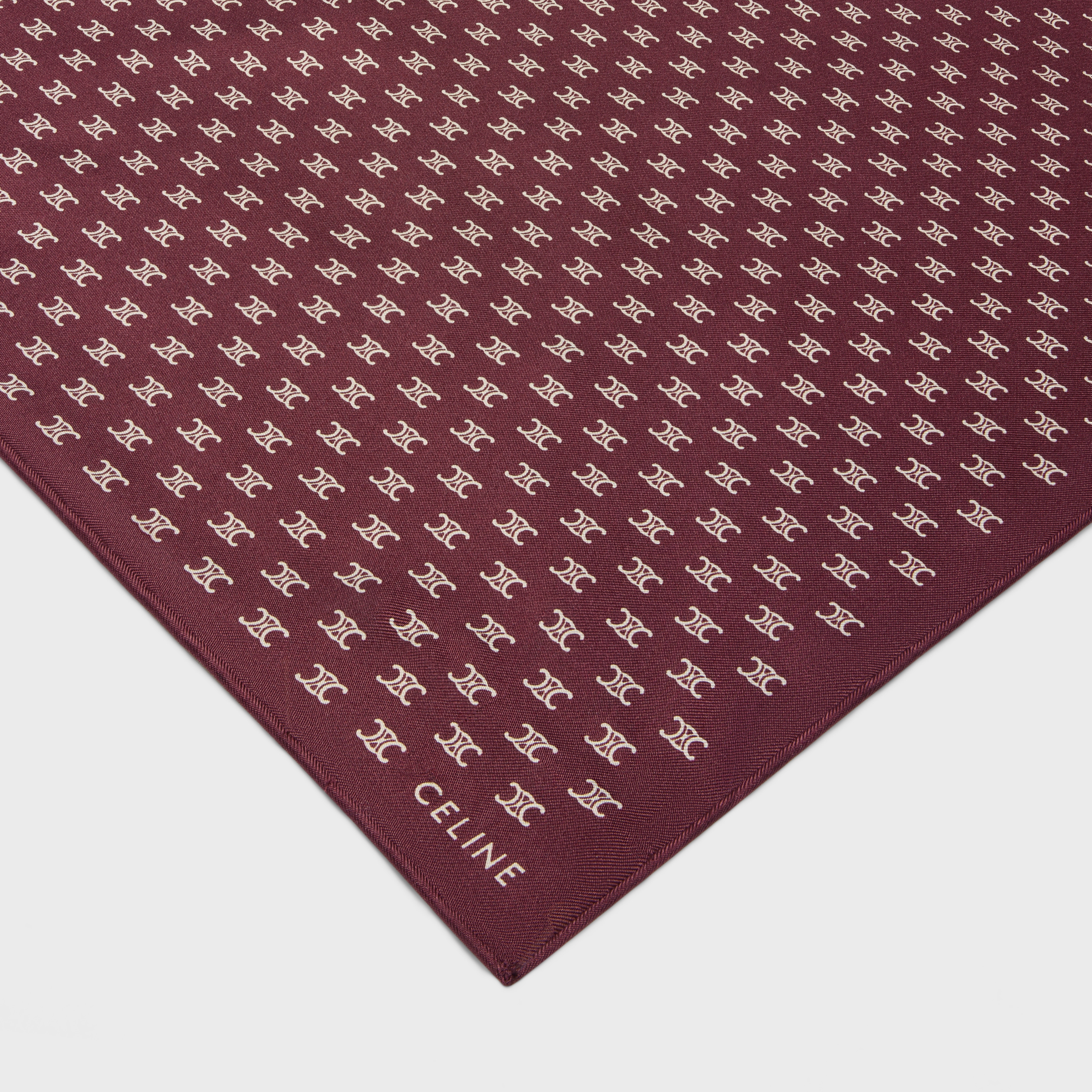 scarf in triomphe silk twill - 2