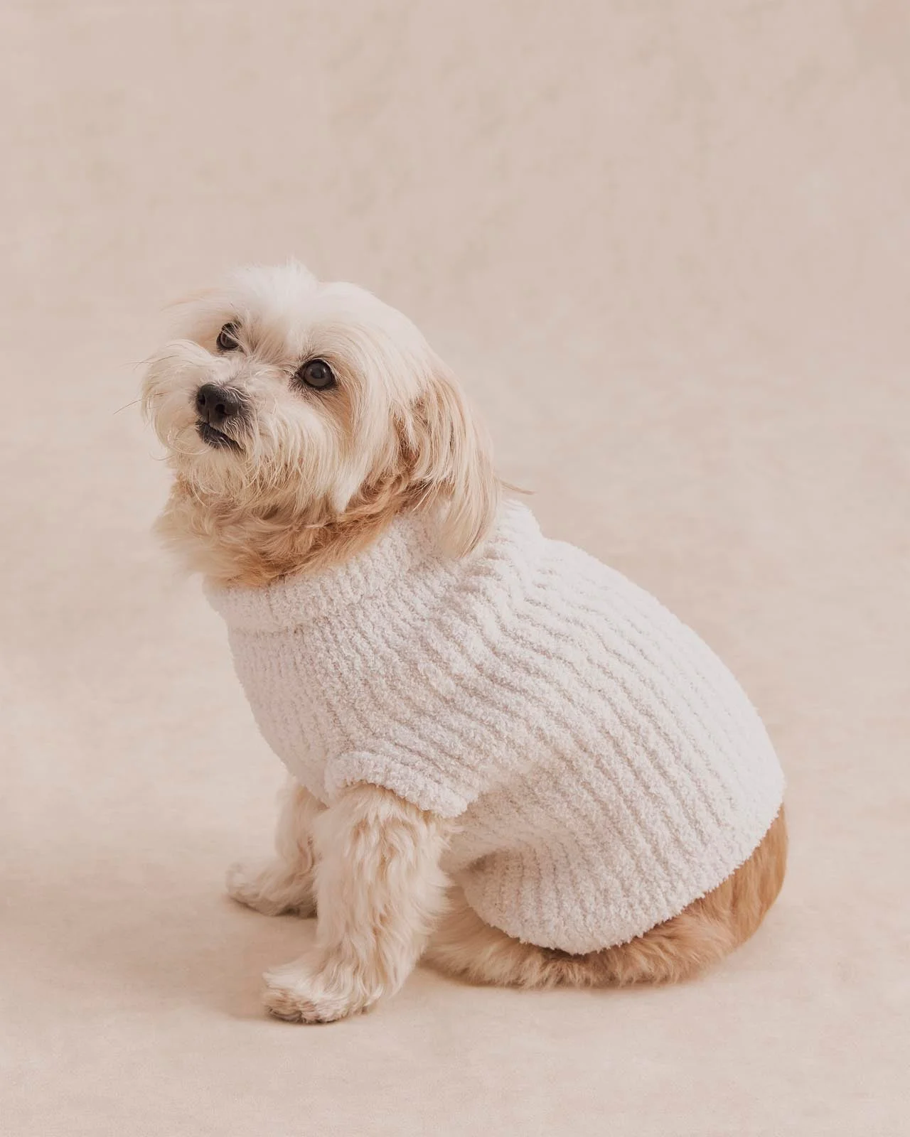Splendid x @Cellajaneblog Ribbed Dog Sweater - 1