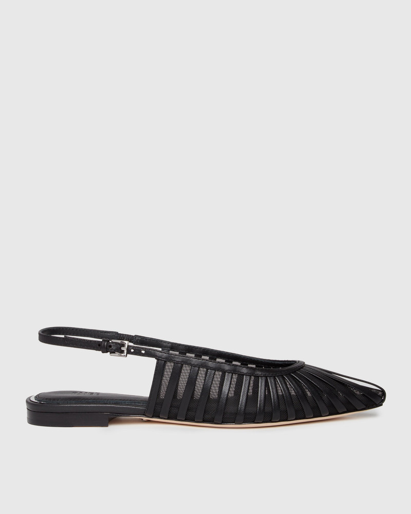 Tera Flat 6