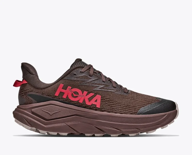 Men's Challenger 8 GTX Shoes in Spiced Chocolate/Cast Iron - 1