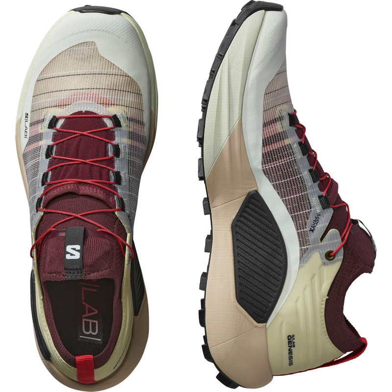 SALOMON S/LAB GENESIS outlook