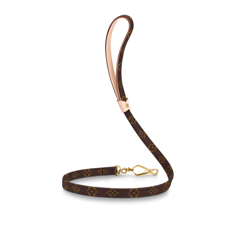 Baxter Dog Leash GM 5