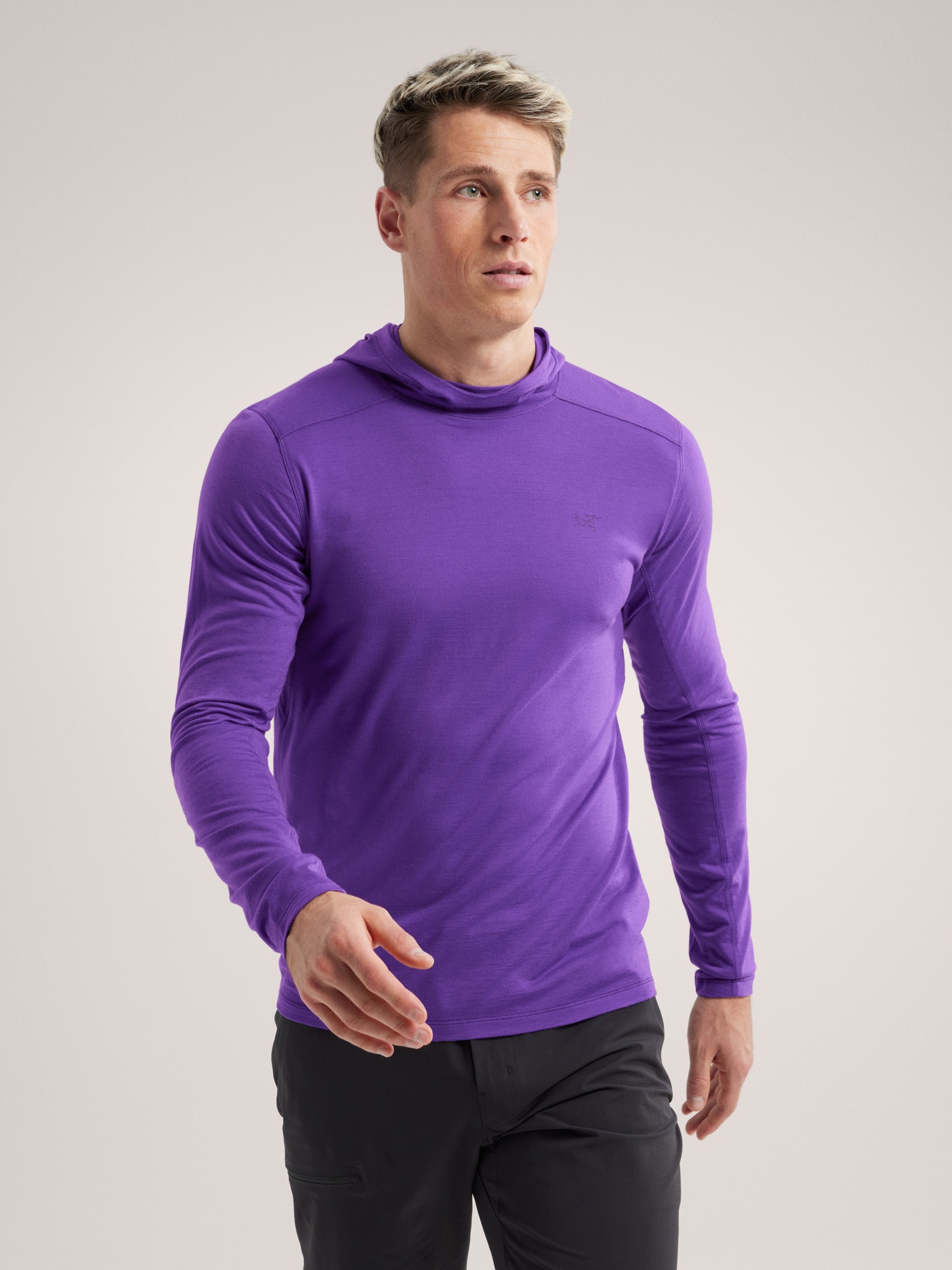 Ionia Merino Wool Hoody - 2