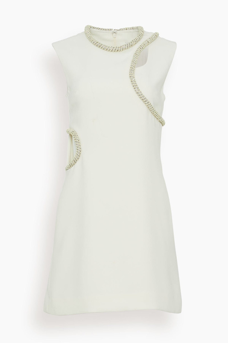 Kat Sleeveless Dress in Natural White 1