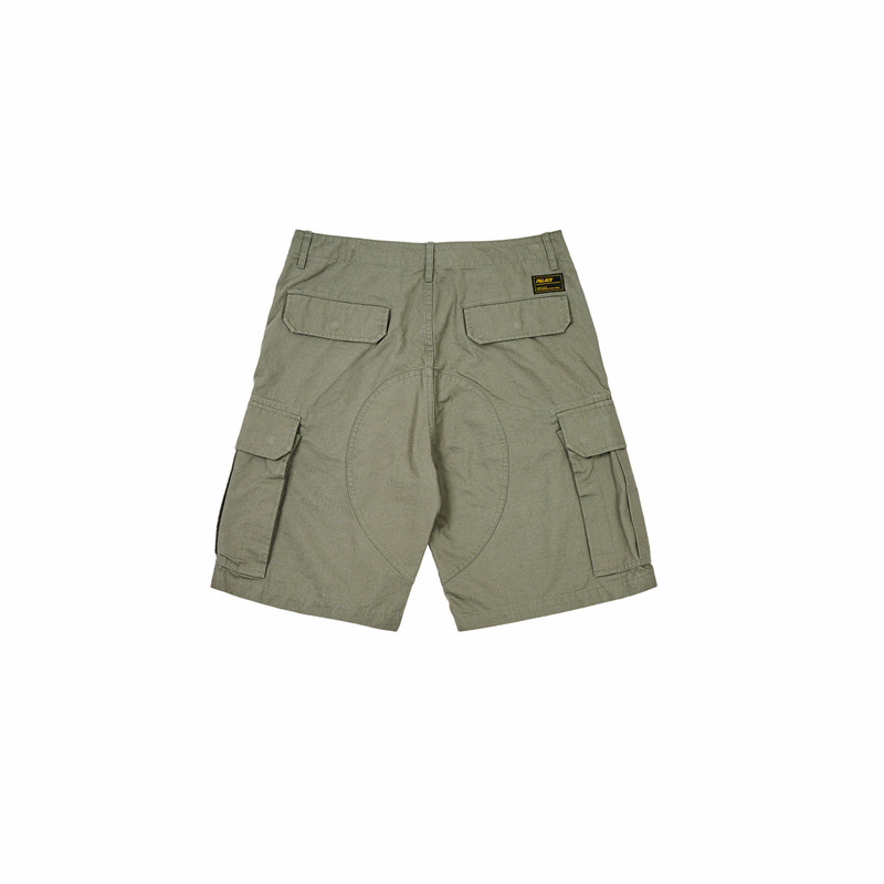 PALACE CARGO SHORT THE DEEP GREEN outlook
