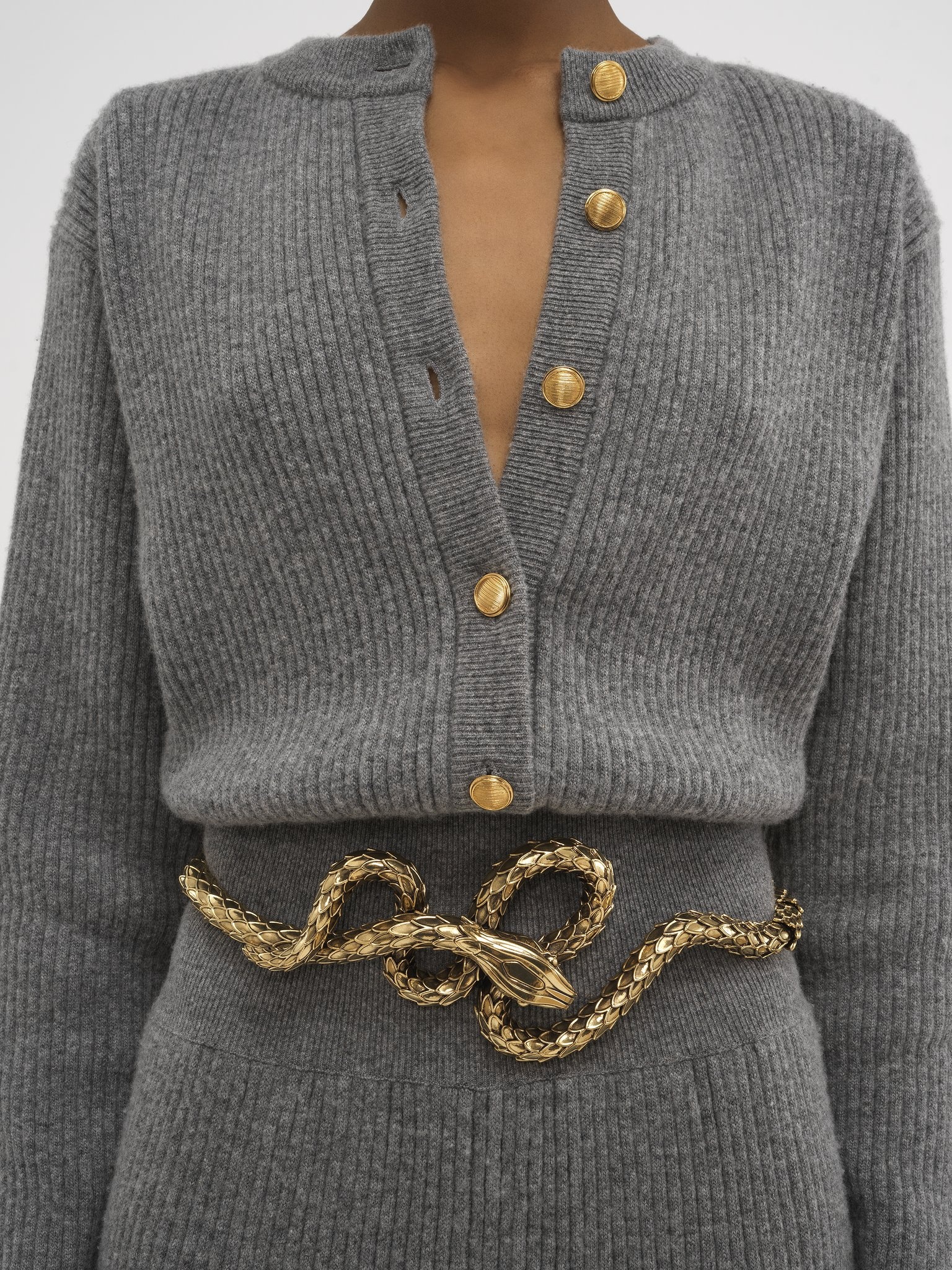 THE CHLOÉ SNAKE BELT - 2