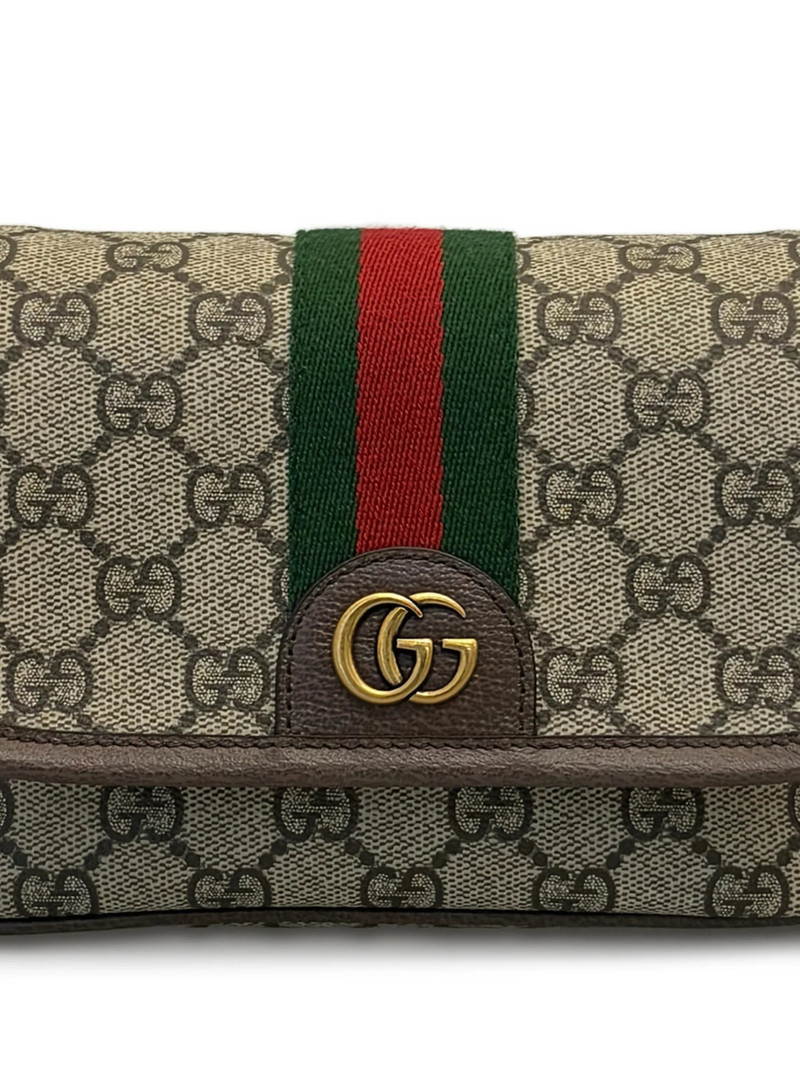 GUCCI Gucci Ophidia Mini Bag outlook