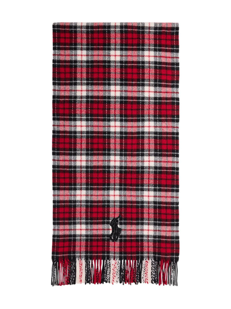 fringed scarf 1