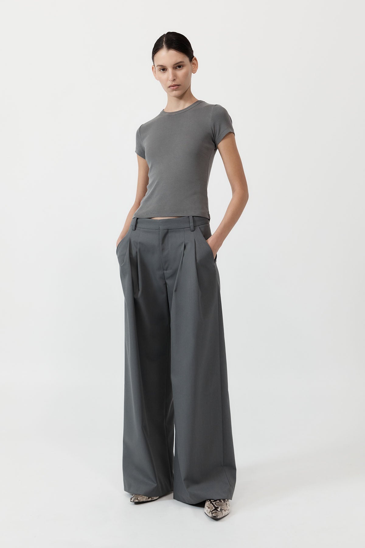 Homme Pleat Pants - Pewter Grey - 4
