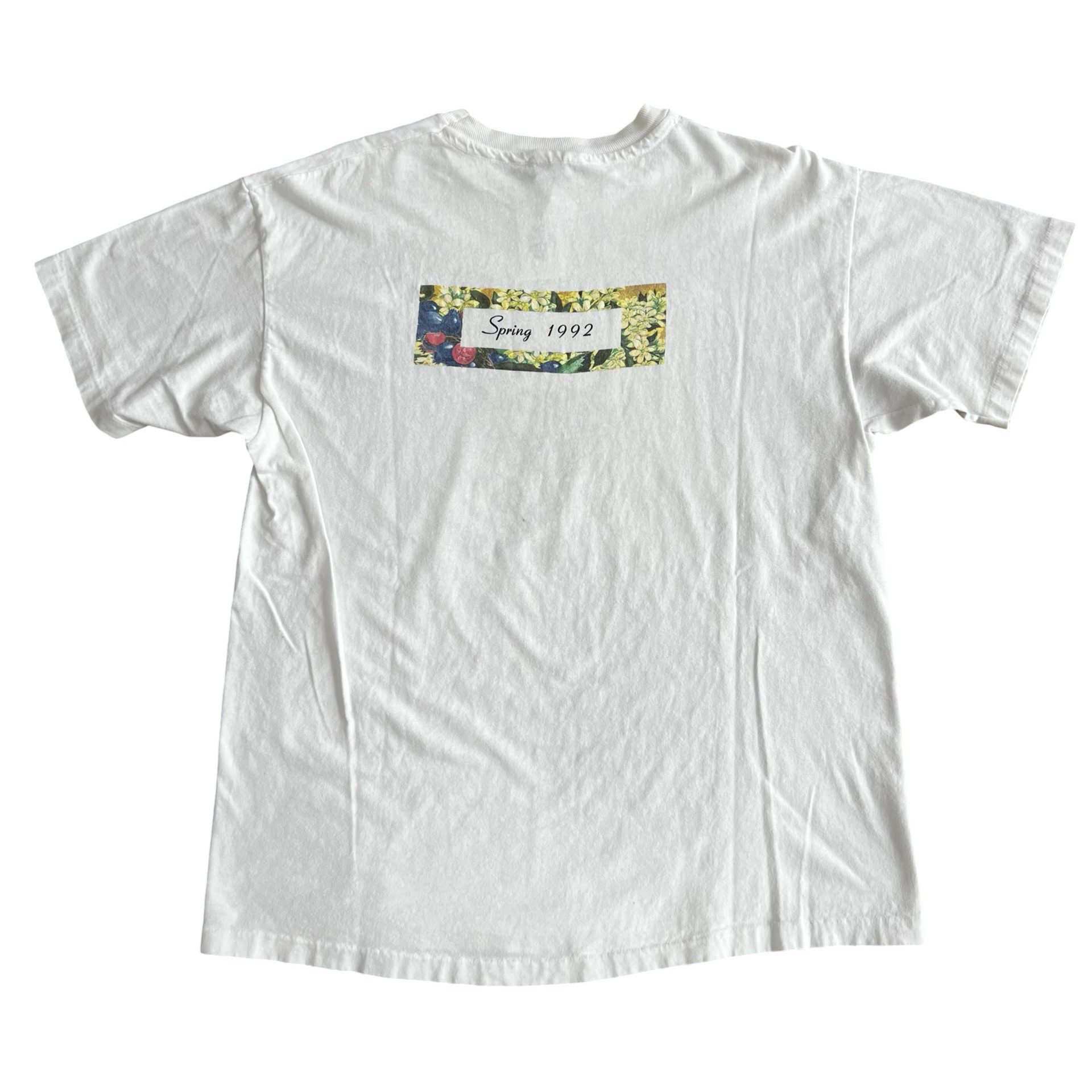 Final Blow - Vintage Ten Thousand Maniacs "Our Time in Eden" T-Shirt SZ L - 7