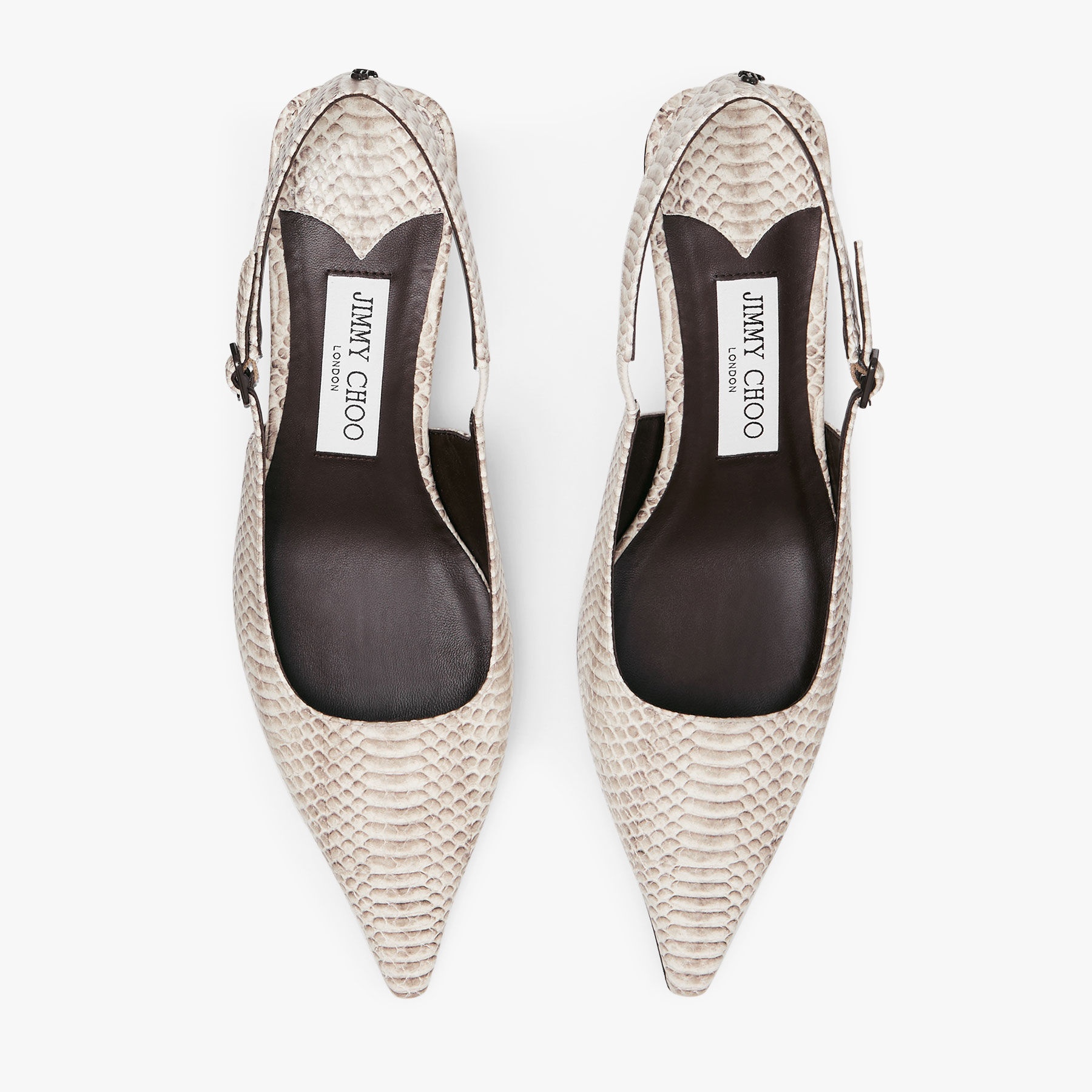 Amel 50
Roccia Snake Print Leather Pumps - 4