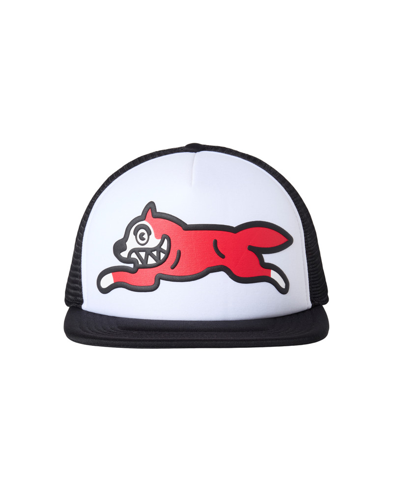 RD TRUCKER HAT 1
