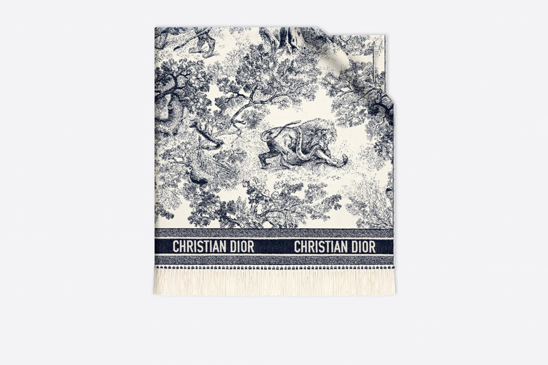 Dior Fierce Blanket 1