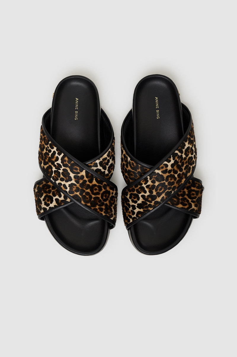 Emi Slides - Leopard 2