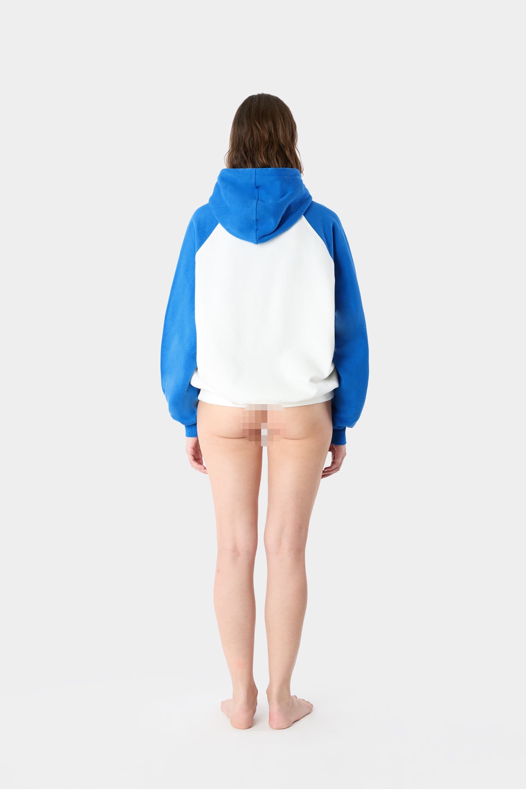 BICOLOR HOODIE / dust & blue - 6