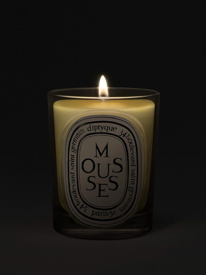 Diptyque Mousses(Moss) - Classic Candle outlook