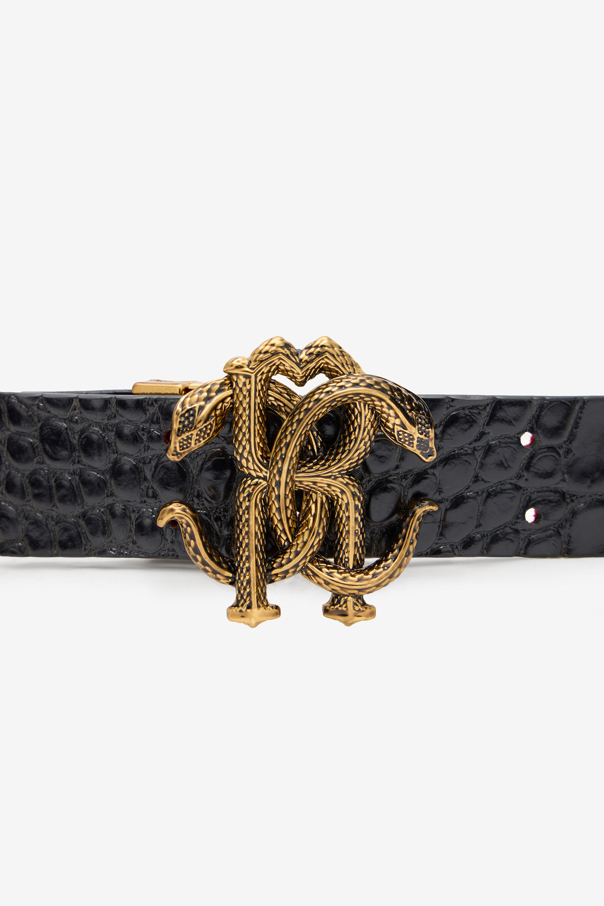 Reversible Belt With Mirror Snake Monogram - 4