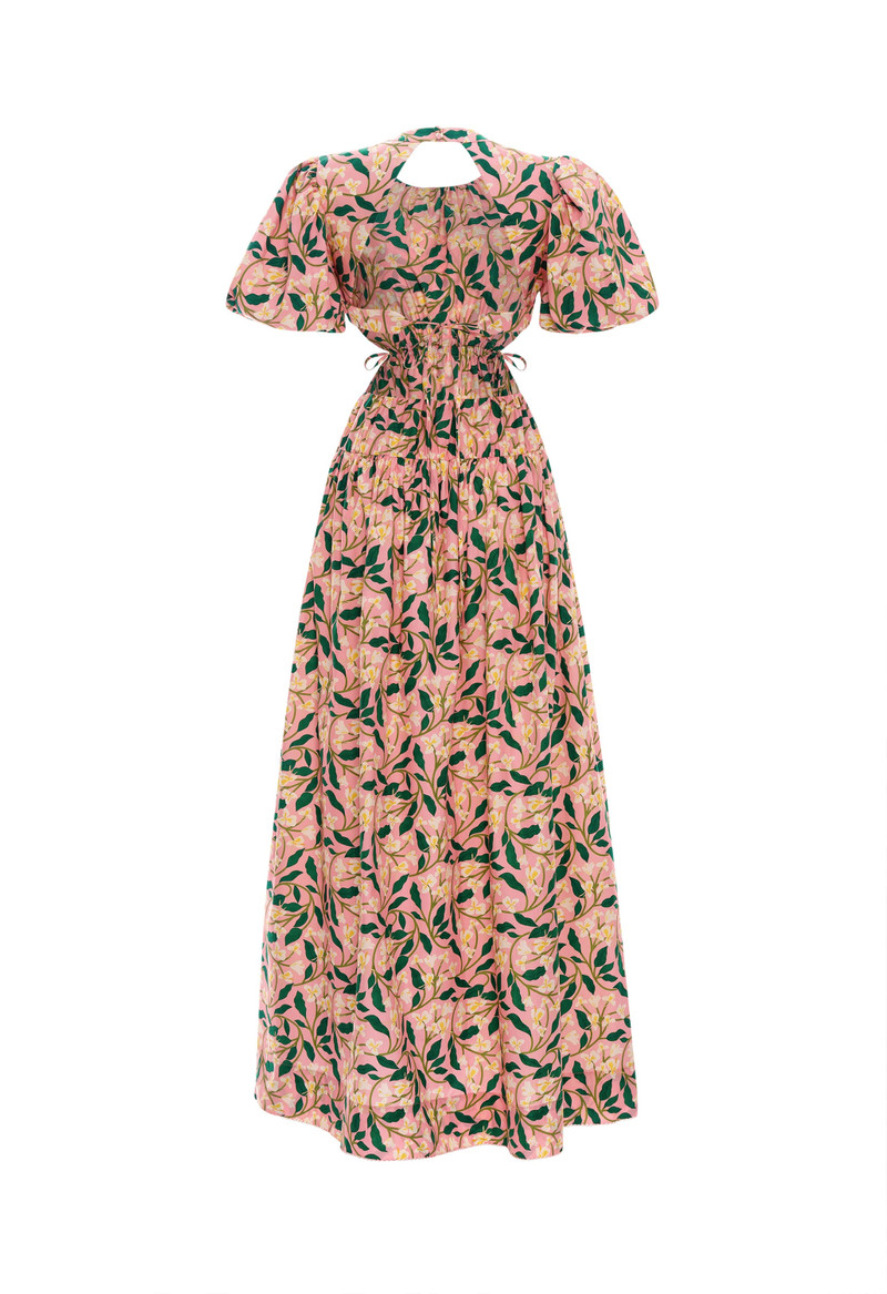 Samba Dos Gardenias Rosa Maxi Dress 3