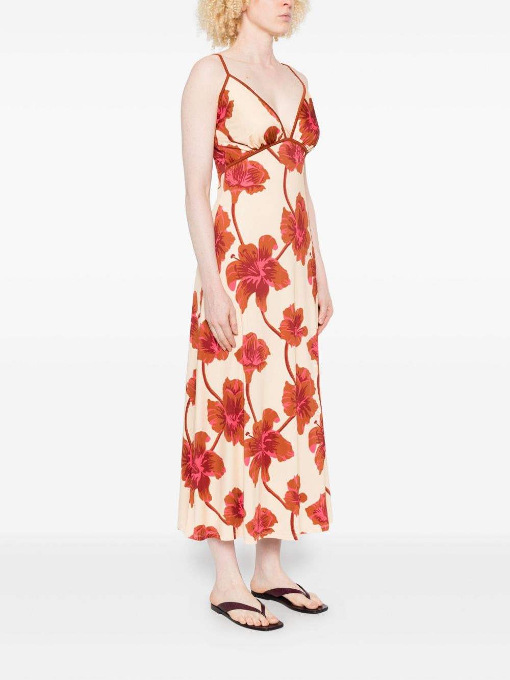 Sendero de Astromelias midi dress - 3