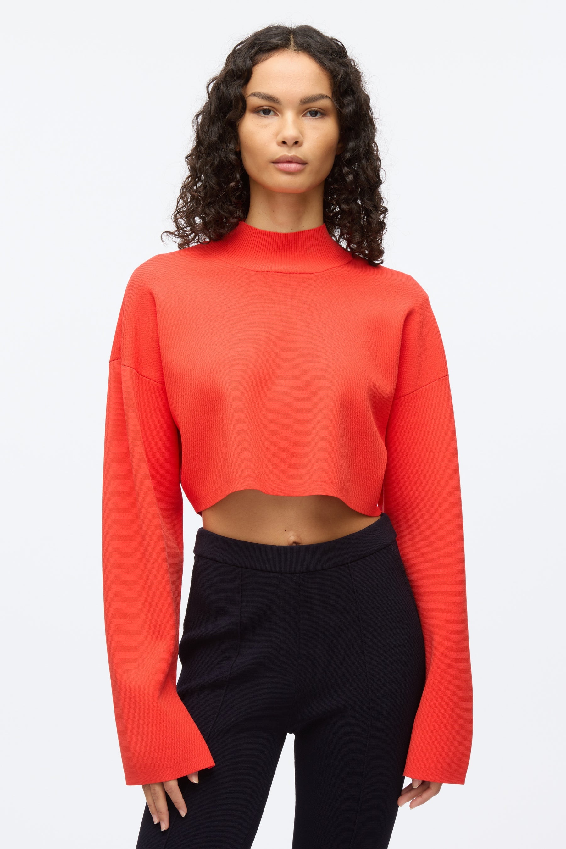 Compact Rib Cropped Turtle Neck - 3