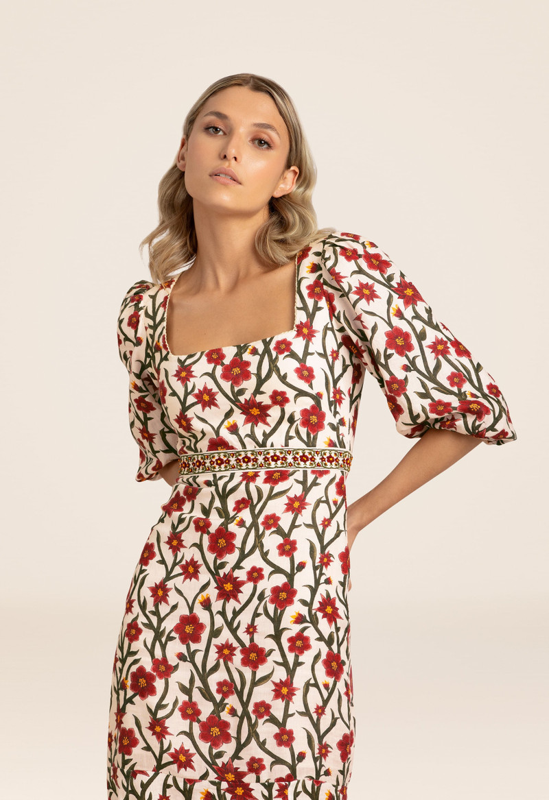 Clavel Mandevilla Maxi Dress 6