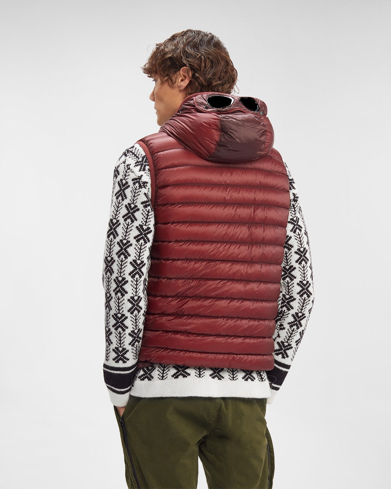 D.D. Shell Goggle Down Vest 3