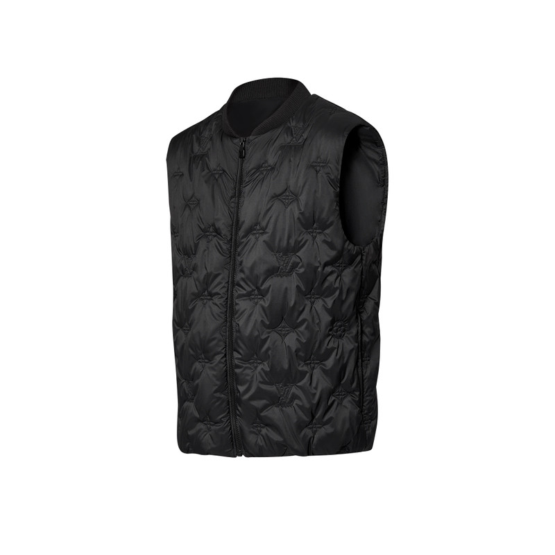 Louis Vuitton Monogram Quilted Nylon Gilet outlook