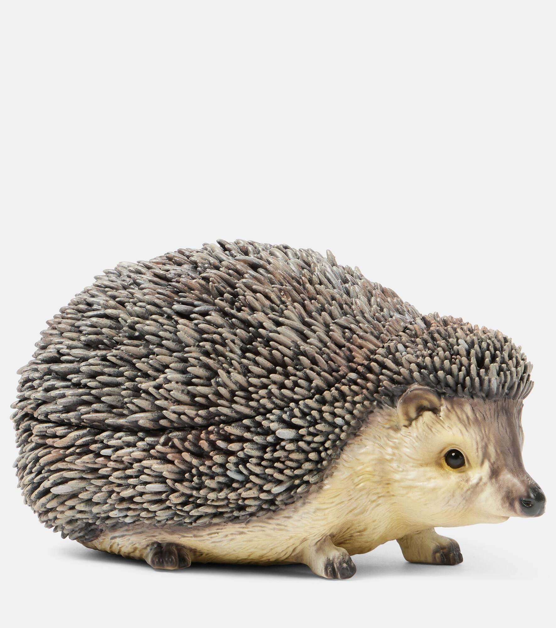 Hedgehog clutch - 1