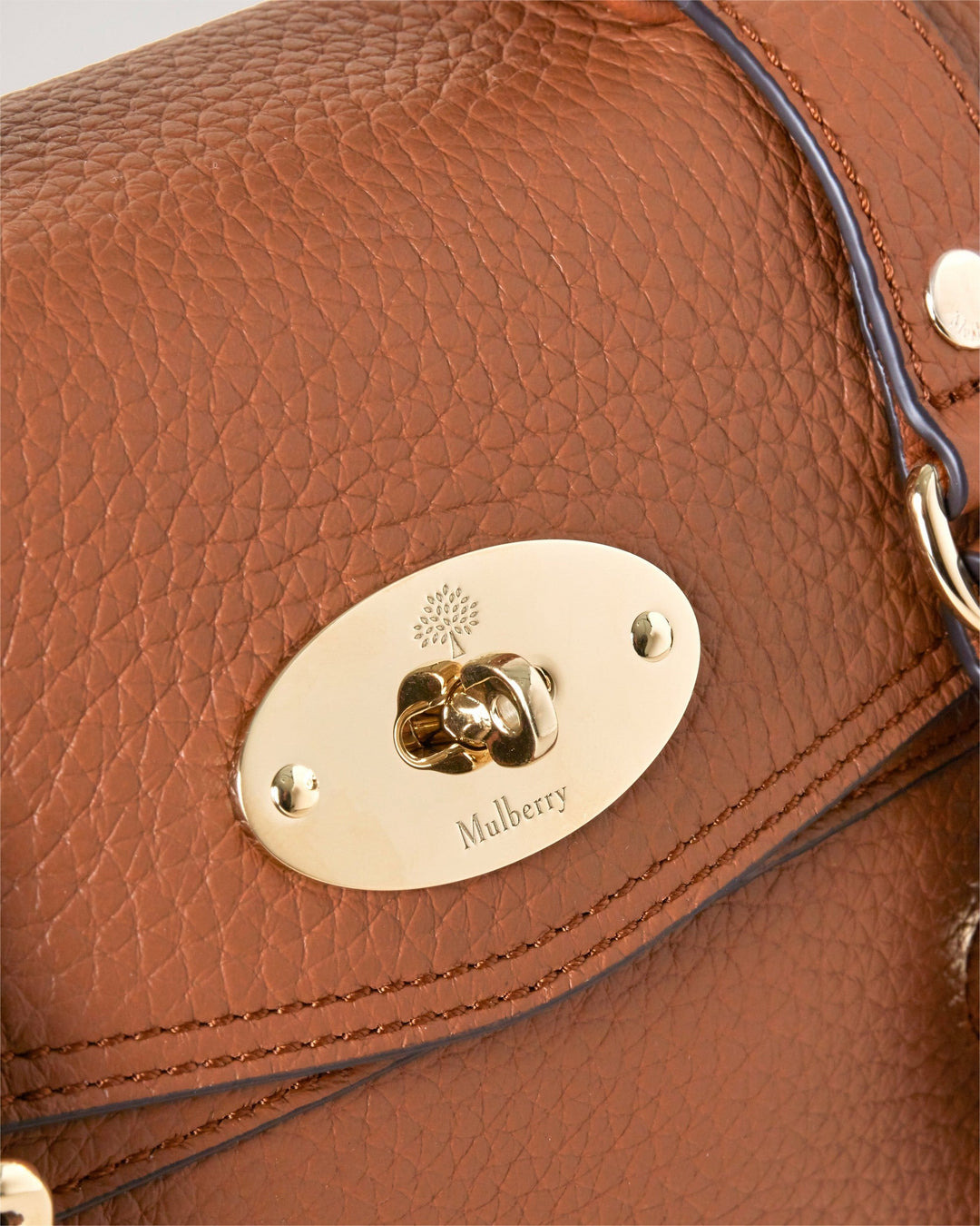 Mini Alexa Chestnut Heavy Grain - 6